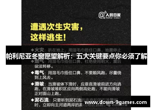 帕利尼亚冬窗愿望解析：五大关键要点你必须了解