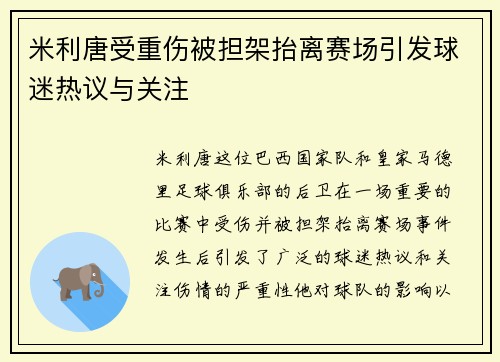 米利唐受重伤被担架抬离赛场引发球迷热议与关注 米利唐受重伤被担架抬离赛场引发球迷热议与关注